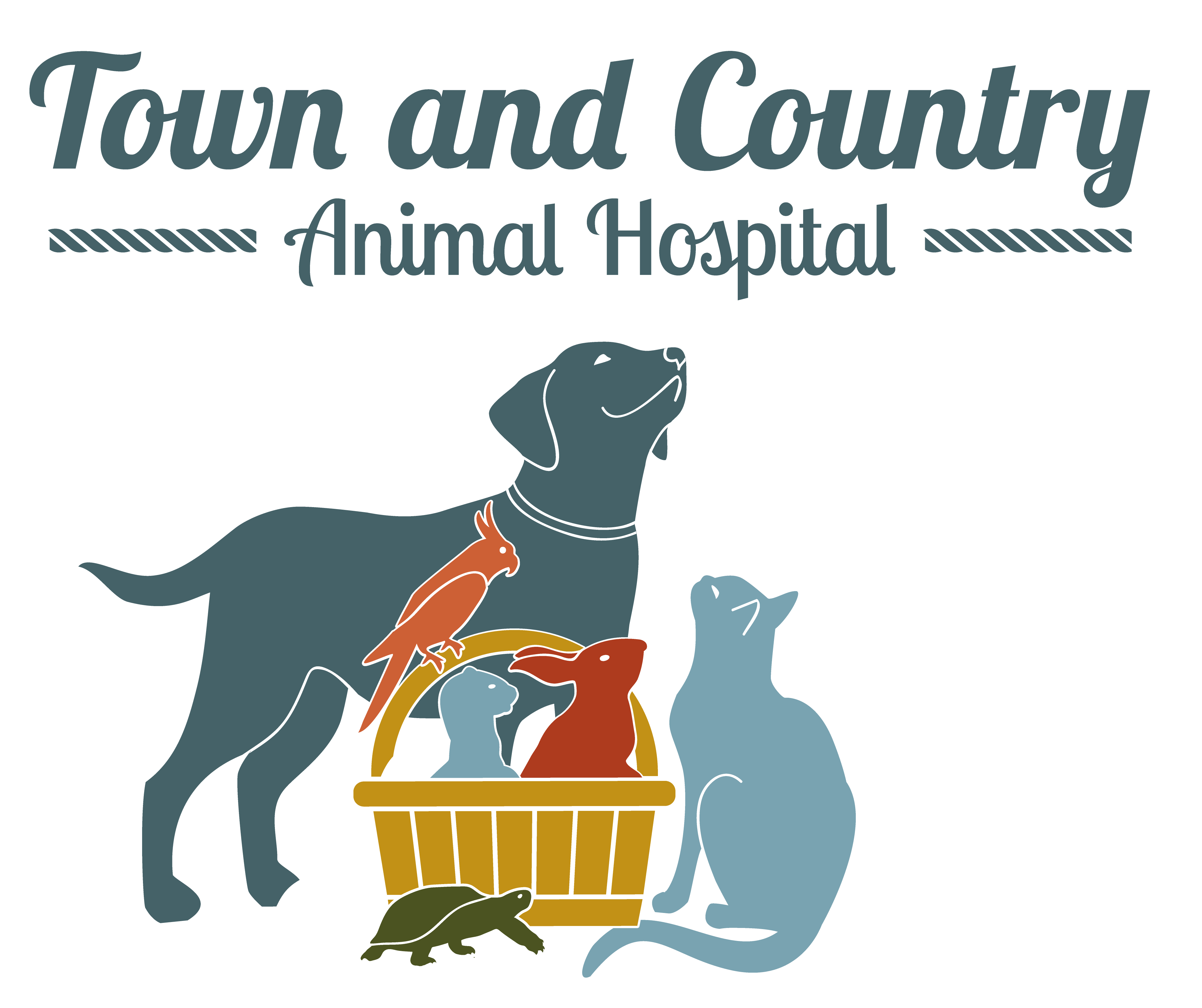 Best Veterinary Hospital In Hattiesburg | Town And Country