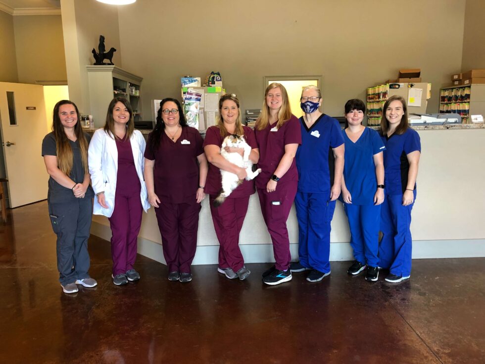 About Town And Country Animal Hospital Vet In Hattiesburg, MS