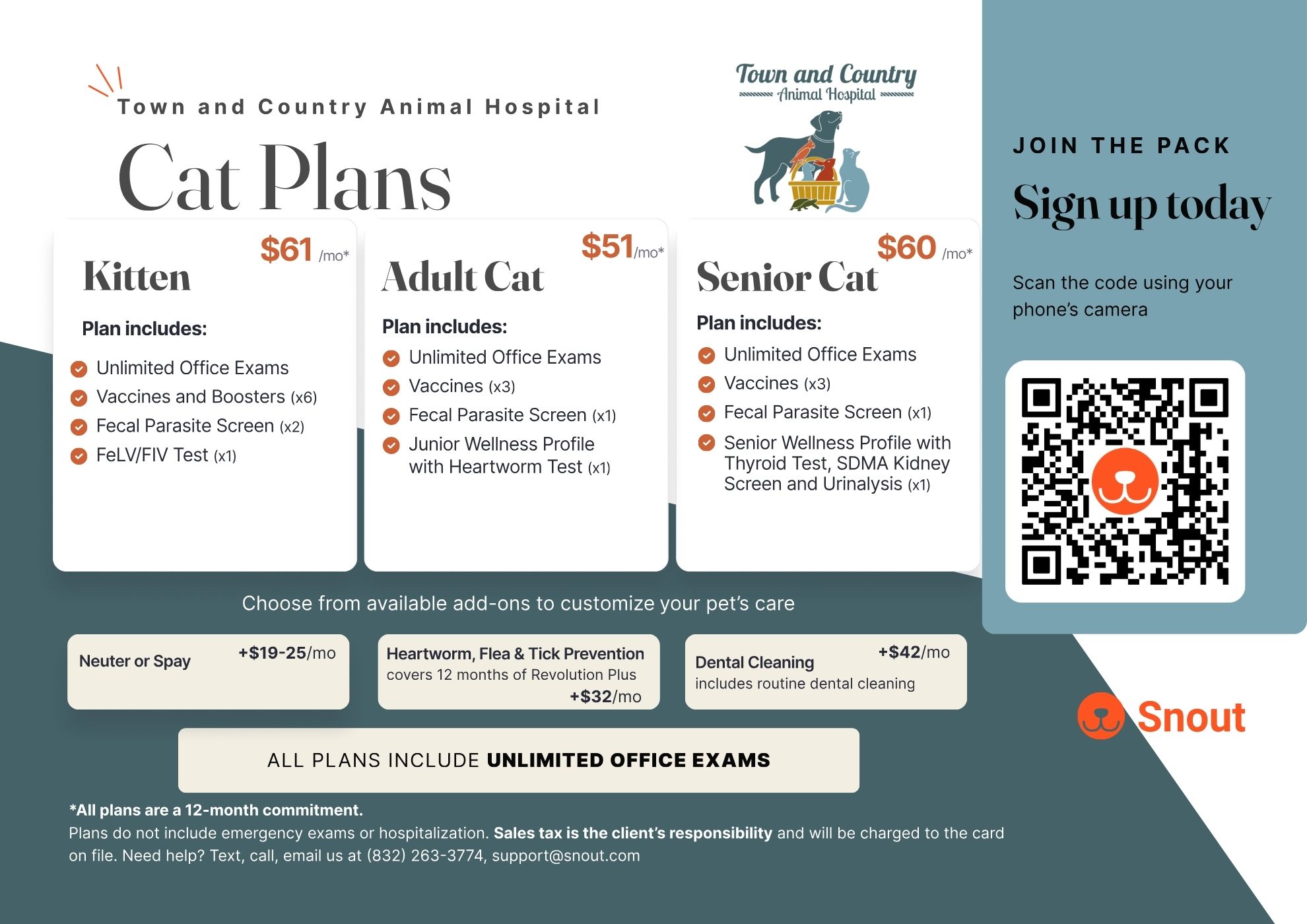 Cat plans image
