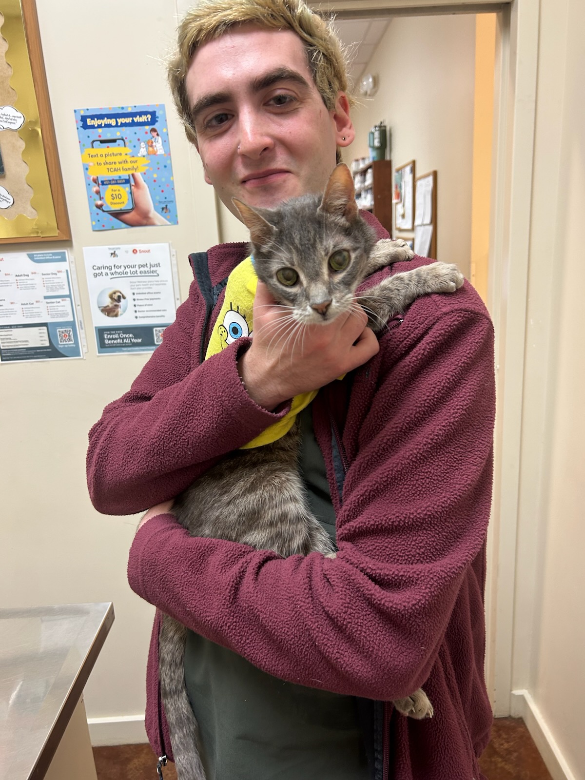 a vet holding a cat